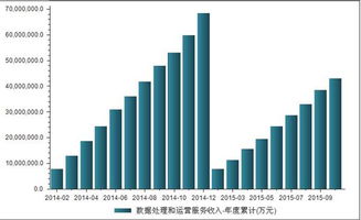 2014-2015年我国数据处理与运营服务收入深度解析 数据处理服务篇