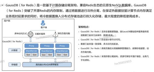 HCIP学习笔记 数据库服务规划之数据处理服务