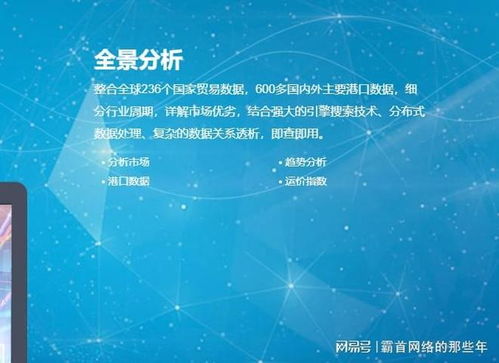 2025年海关数据公司选择指南 实力、口碑与避坑全解析